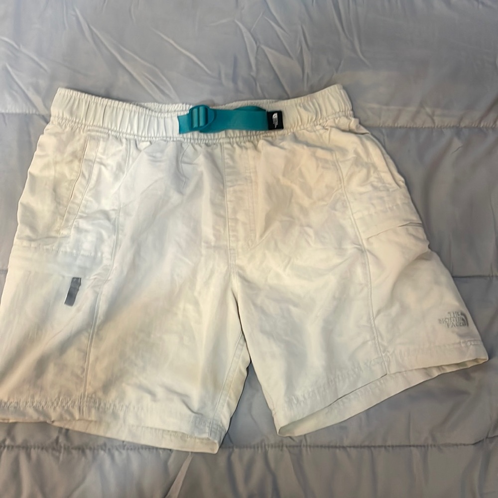 The North Face Shorts (medium)